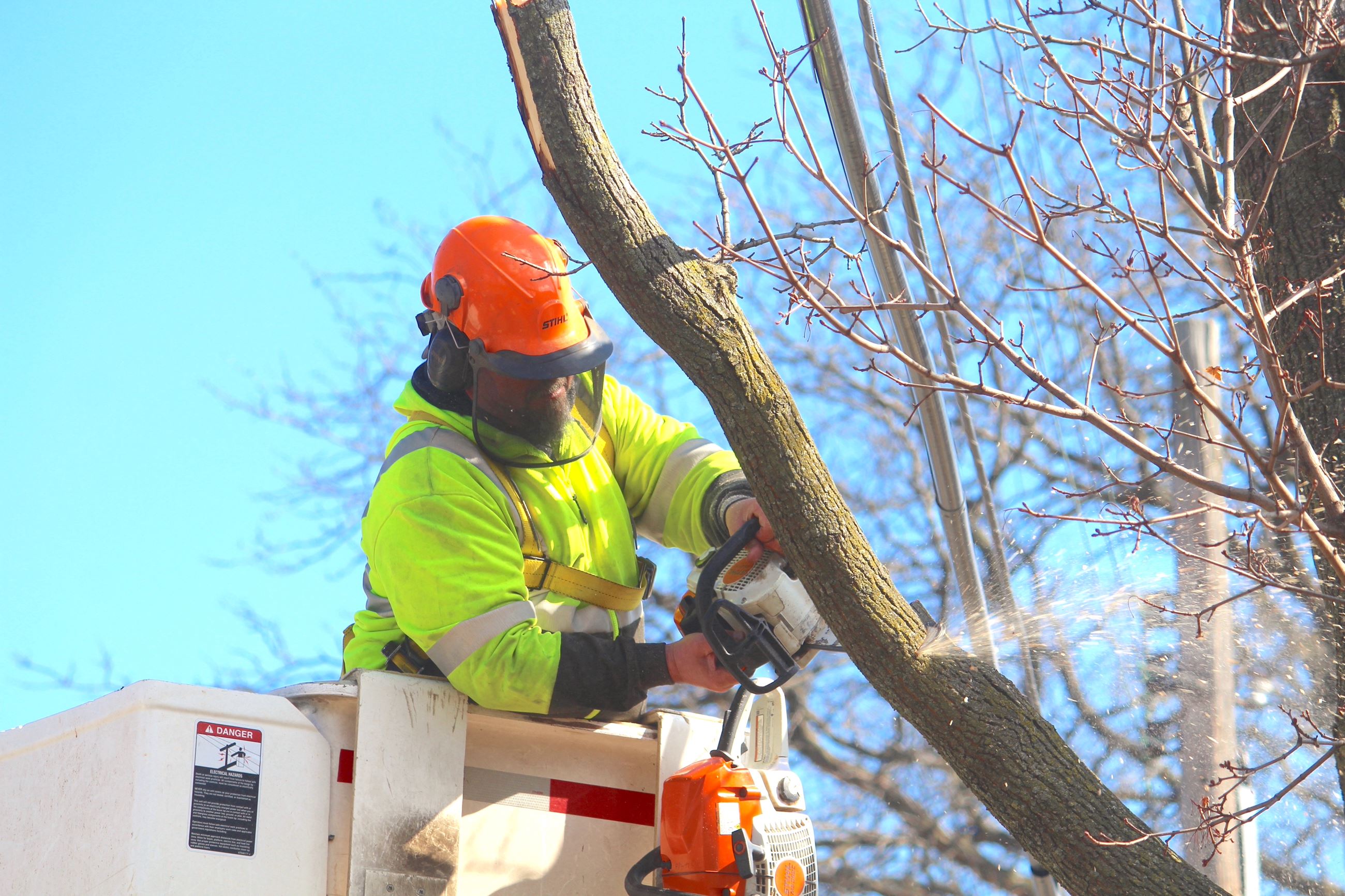 Bob Stolarz from Dept. of Public Works trims a tree on Dewey Avenue in Feb. 2025