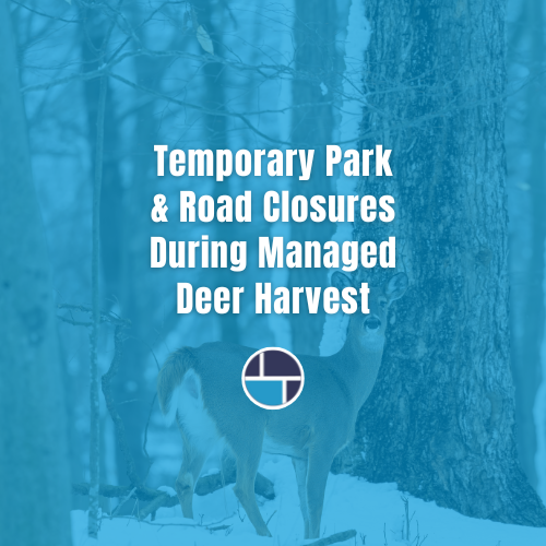 Deer Harvest - News Flash Graphic-2