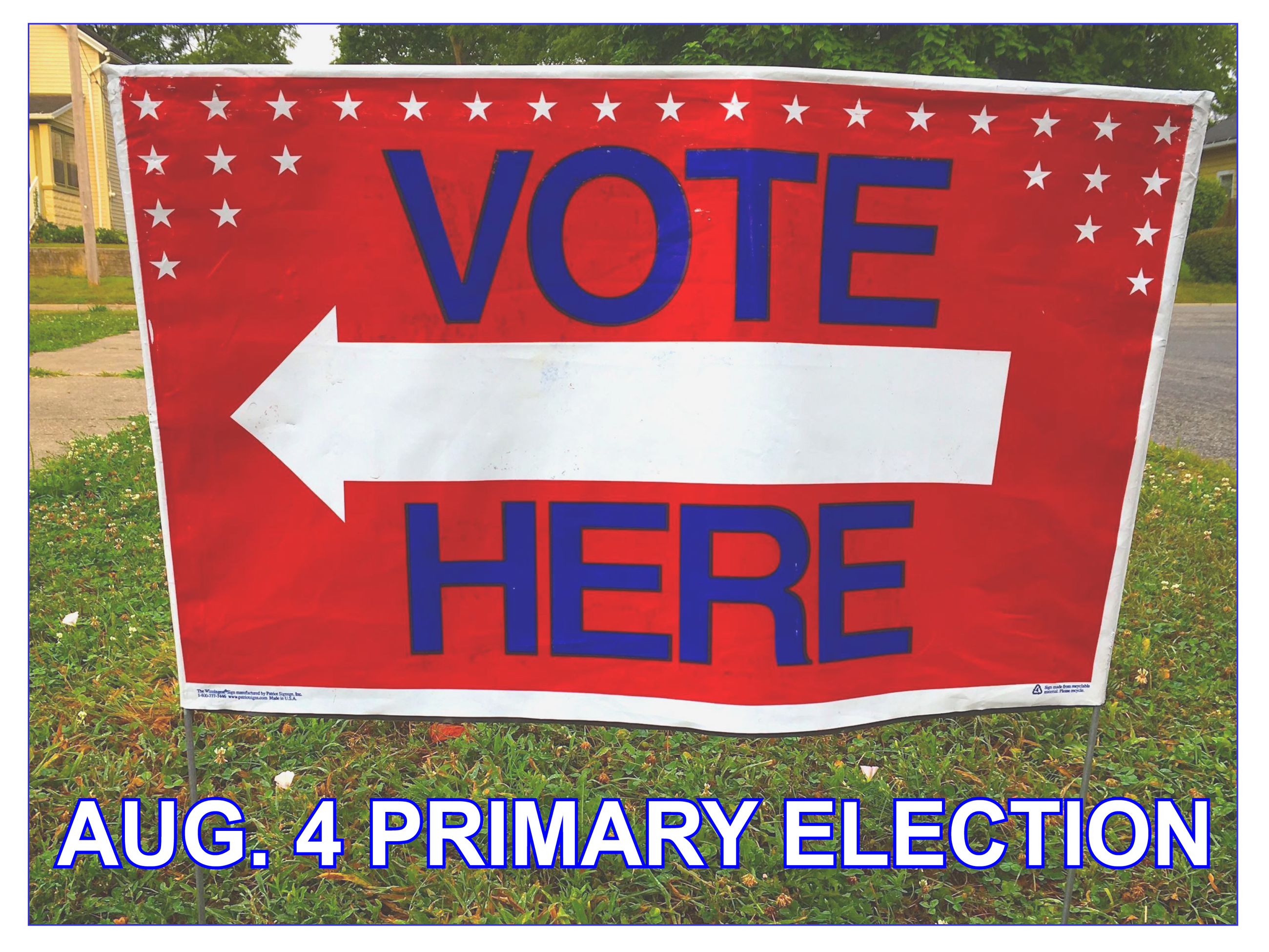 Aug 4 primary election graphic