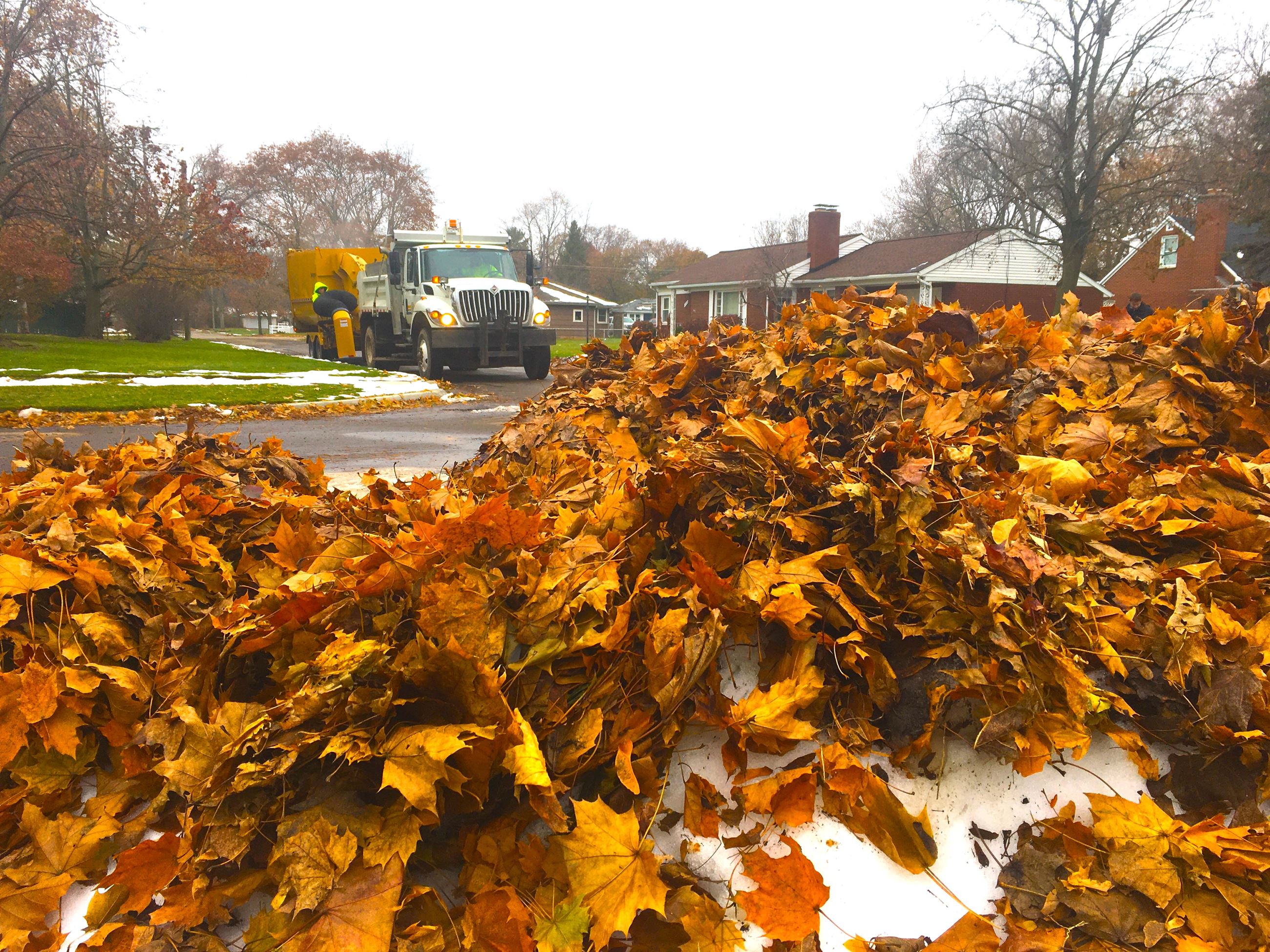 Leaf vacuum machine and leaf pile 