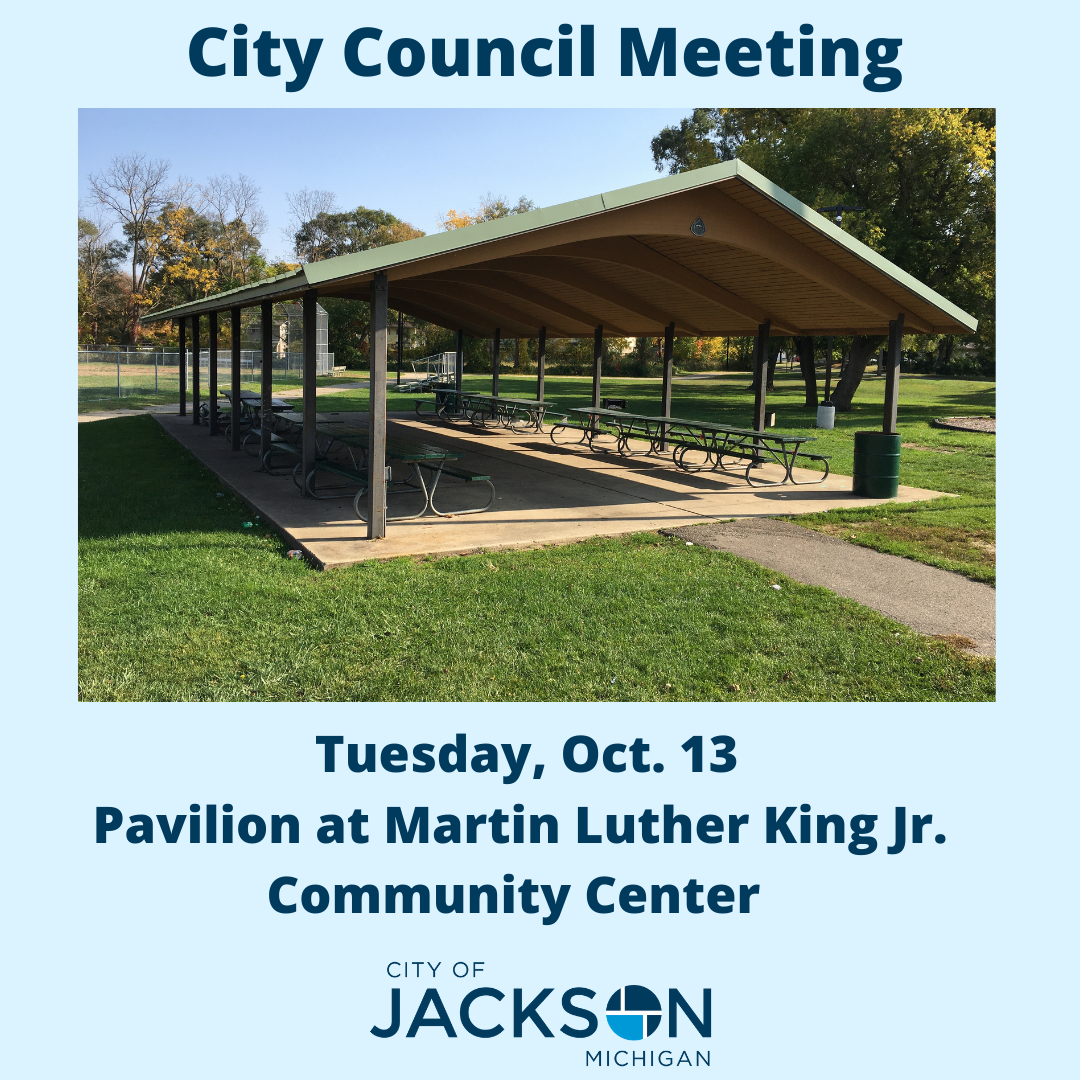 10-13 city council meeting image