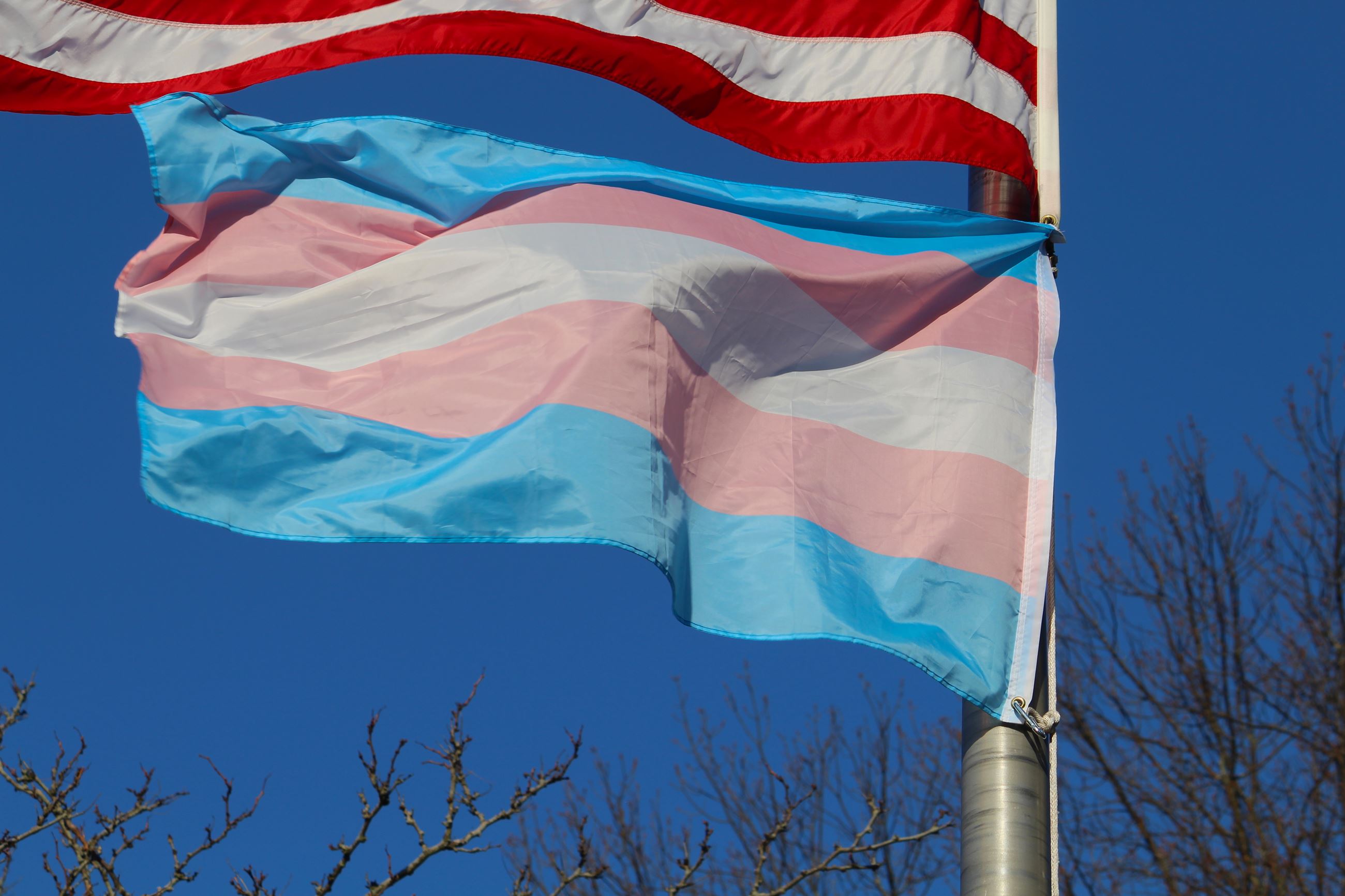 Jackson transgender flag 2