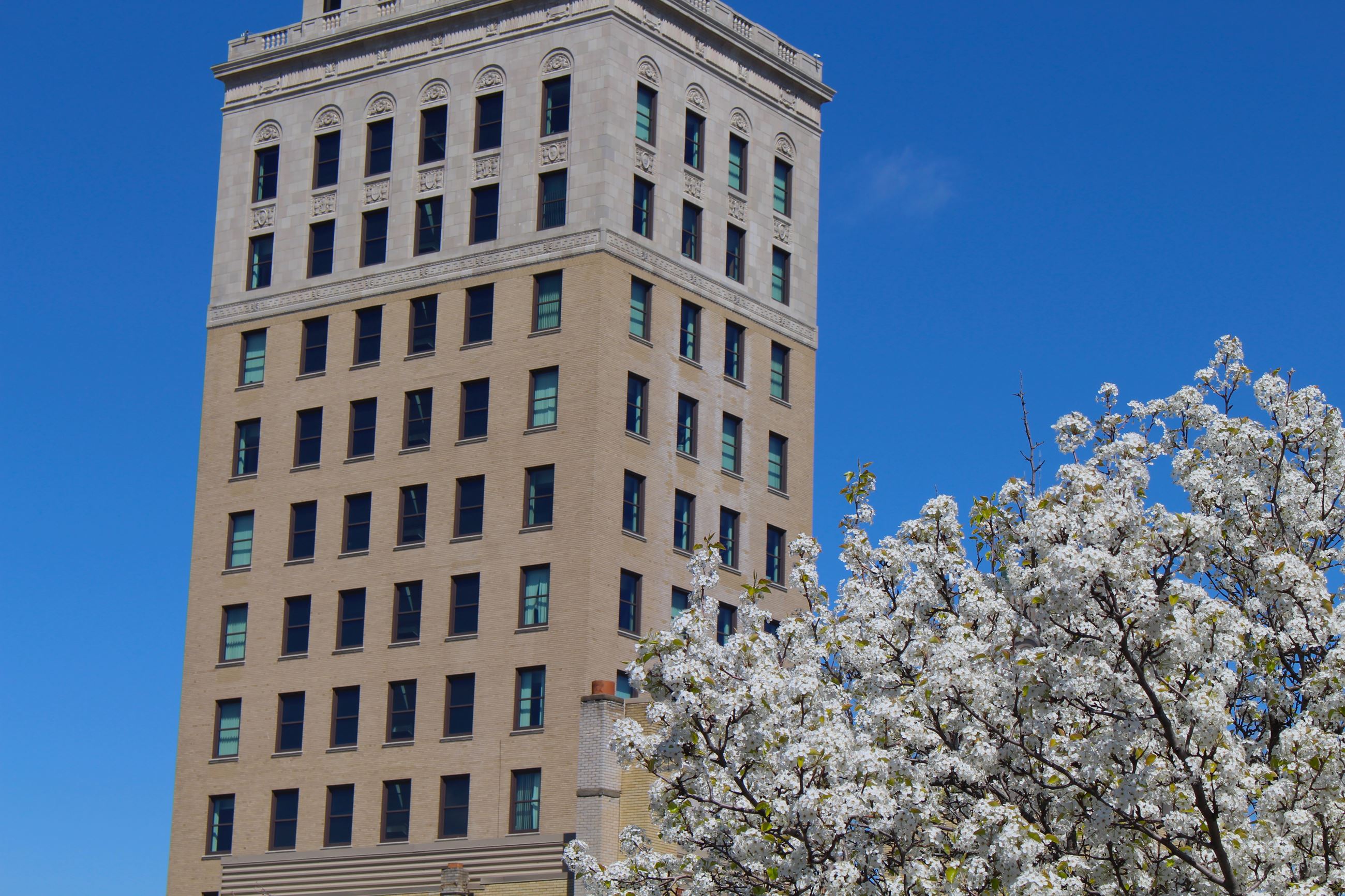 Jackson City Hall May 2021