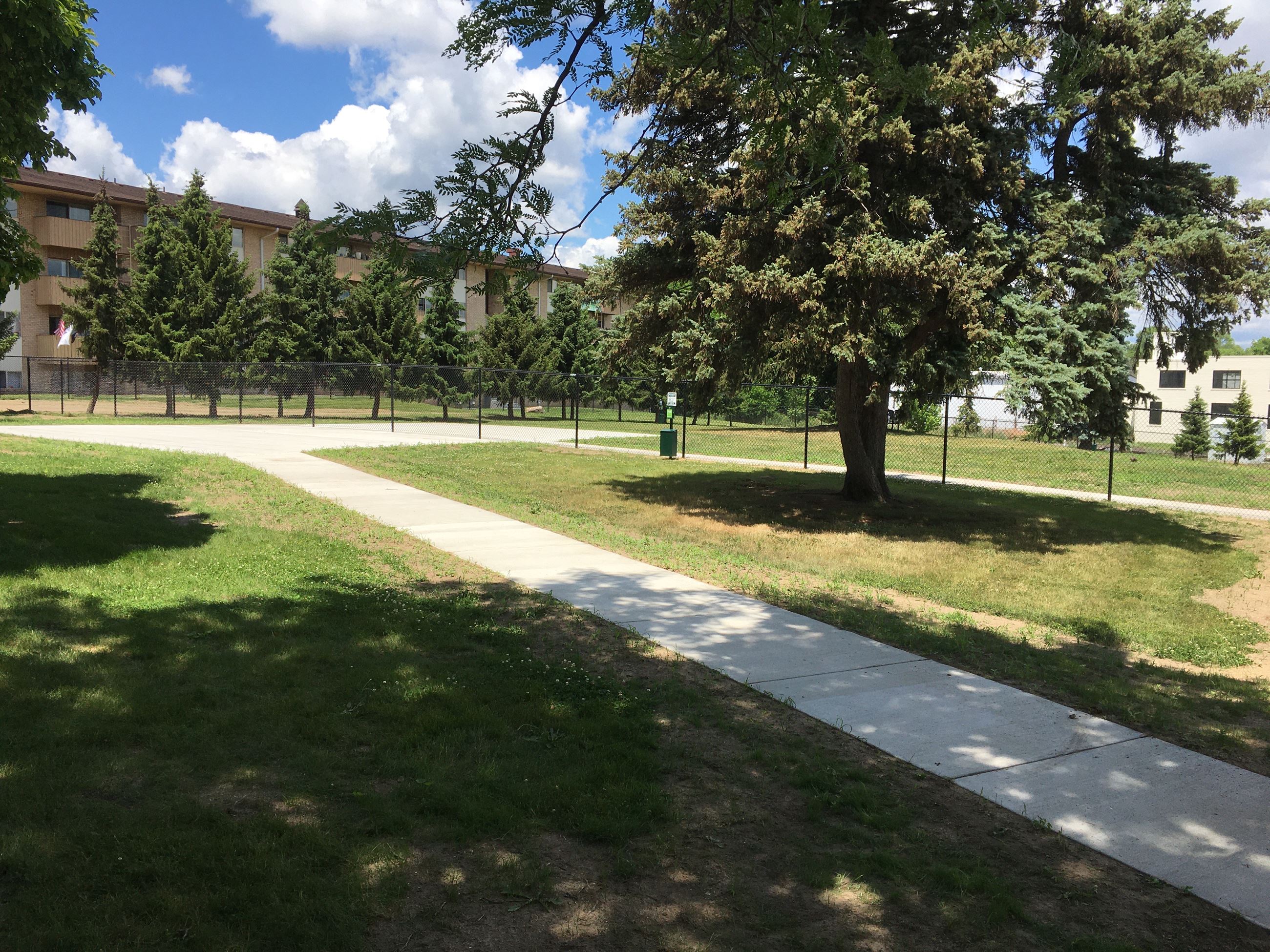 Bettys Dog Park in Jackson